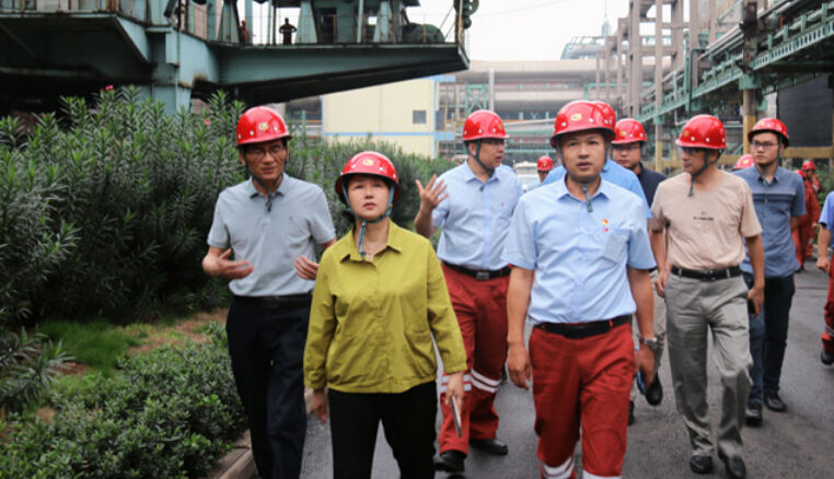 省第三生態(tài)環(huán)境保護(hù)督察組下沉漣鋼督察